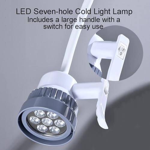 Lampe de type pied de sol à rotation à 360 pour examen médical 7W - 2