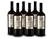 Produktbild Torrevento Salice Salentino Rosso Riserva PRIMO DOC - Italien-Apulien Vorteilspaket (6x 0,75l) Rotwein trocken