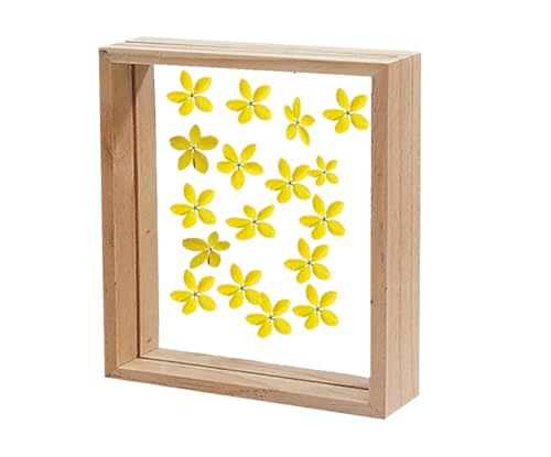 Image of Desi Rang Wooden Square Frame For Wall Decor Table Top Hanging Any Green Or Dry Plant Leaf Picture Photo DIY Gift Home Decoration (Natural,Sqr,7X7 Inch,With Yellow Flower)