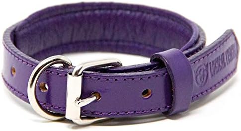 Logical Leather Padded Dog Collar - Best Full Grain Heavy Duty Genuine Leather Collar - Purple - Small