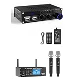 Sunbuck 2023 Newest Amplifier & Wireless Microphone System