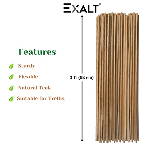 EXALT® 3 feet Premium Natural Teak Wood Plant Support Sticks - Garden Sticks for Straightening Training and Supporting Plants - Strong and Durable Solution for Healthy Growth (12 pcs)