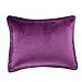Amazon Basics Ultra-Soft Micromink Sherpa Comforter 2-Piece Bedding Set, Twin, Plum