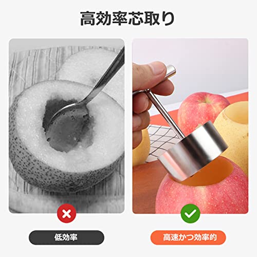 りんご芯取り アップルコアラー ステンレス鋼 フルーツコア