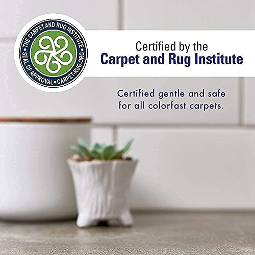 Rocco & Roxie Professional Strength Stain & Odor Eliminator EnzymePowered Pet Odor & Stain