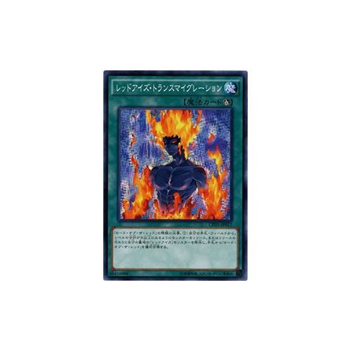 遊戯王 決闘者シール レッドアイズ 丸昌 遊戯王 Yu-Gi-Oh 丸昌シール 決闘者シール 遊戯王シール トレカ