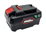 Batterie de rechange 20 V 5 Ah pour Parkside Pap 20 B1, B3, A1, A2, A3, compatible avec les outils et chargeurs de la série X Parkside 20 V Team
