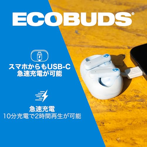 Skullcandy EcoBuds 0