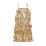Hotfiary Toddler Girl Fringe Dress Kids Little Girls Party Latin Dance Dress Sleeveless Sparkling Tassel Dresses