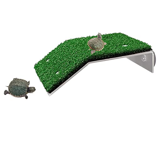 Best Floating Dock For Turtles A Review