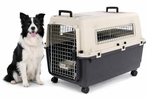 Cage pour Chien - Cage de Transport Chien - Flamingo Fomad Gris foncé - L 57 x 80 x 59,5 cm - Plastique Robuste - Porte métallique - verrou de sécurité - 2...