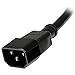 StarTech.com 1ft (0.3m) Power Extension Cord, C14 to C13, 10A 125V, 18AWG, Computer Power Cord Extension, IEC-320-C14 to IEC-320-C13 AC Power Cable Extension for Power Supply, UL Listed (PXT1001)