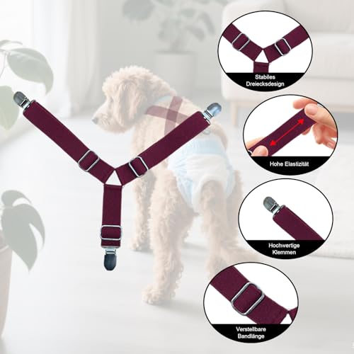 Qwrqwr Hundewindel Hosenträger mit Bauchbändern Verstellbare Länge Haustier Windeln Befestigungen Komfortables Windelgegurt verhindern, dass Windeln oder Unterwäsche nach unten rutschen