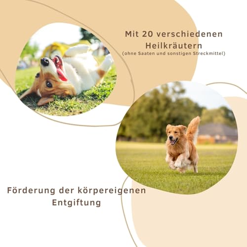 Markus-Mühle NaturNah Hundefutter, Kaltgepresst mit Hühnertrockenfleisch, Vollkornmais und Wild, 15 kg (15kg Markus Mühle Naturnah, + 50g Naturpfötchen Bleibfit Kräuter)
