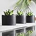 SEEKO Artificial Succulents 3 Pack Faux Potted Plant Decor - Realistic Faux Succulents Perfect Small Desk Plant, Home Office, Kitchen, Book Shelf, or Bathroom Decor (Matte Black Pot)