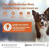 Wellness CORE 95% 6 x 400g, Truthahn & Grünkohl – Hundefutter Nass, stückige Pastete für ausgewachsene Hunde, getreidefrei, natürlich, hypoallergen, proteinreich, hoher Fleischanteil