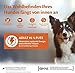 Wellness CORE 95% 6 x 400g, Truthahn & Grünkohl – Hundefutter Nass, stückige Pastete für ausgewachsene Hunde, getreidefrei, natürlich, hypoallergen, proteinreich, hoher Fleischanteil