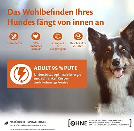 Wellness CORE 95% 6 x 400g, Truthahn & Grünkohl – Hundefutter Nass, stückige Pastete für ausgewachsene Hunde, getreidefrei, natürlich, hypoallergen, proteinreich, hoher Fleischanteil
