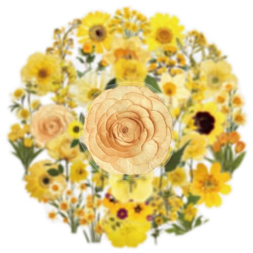 Image of Aesthetic Flowers Stickers Transparent Flora Scrapbook Stickers(Y) | Transparent & Waterproof Sticker for Scrapbook Journal Water Bottle Kindle, DIY Crafts, Party Supplies