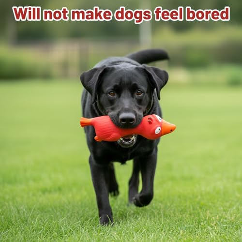 DvBCNMe 3 StüCk Gummihuhn Hundespielzeug, Das Spielzeug Quietscht FüR Den Hund, Hundespielzeug Unzerstörbar, Interaktives FüR Welpen Zum Zahnen,Kauspielzeug FüR Kleine Hunde