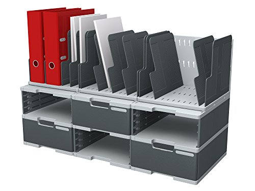 Exacompta 39107D 2er Pack Trennwände für Organizer Modulotop aus Recycling-Kunstsoff für DIN A4 Dokumente grau. Für Ordner Ringbücher Postmappen und Hefter Sorter Vertikal Blauer Engel