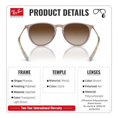 Image of Ray-Ban RB4171 ERIKA CLASSIC Phantos Shaped Sunglasses for Women with Official RAYBAN Eyewear Kit