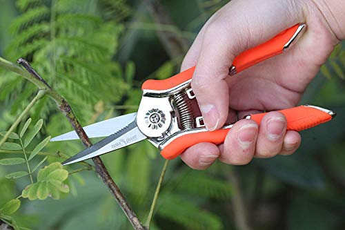 Flora Guard 6.5 Inch Micro-Tip Pruning Snip Gardening Hand Pruning Shears Trimming Scissors With Stainless Steel(Orange) #TOP3