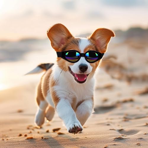QKEPCY Hundebrille UV Schutzbrille Wasserdicht Winddicht Einstellbar Sonnenbrille Hund Haustier Sonnenbrille Mode Schutzbrille für Große Mittelgroße und Kleine Hundebrille(Schwarz)