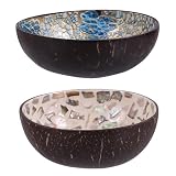 LIFKOME 2 cuencos de cáscara de coco Tazón de arroz de madera Tazón de aperitivo Acai Bowl Frutero Tazón de arroz Cuencos de fideos Tazón de sopa Tazón natural Tazón de almacenamiento Recipiente de