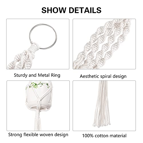 HBselect set da 2-4 Pcs Vasi Sospesi per Piante in...