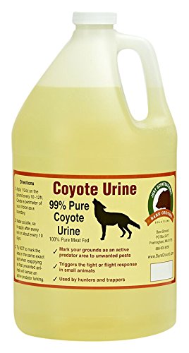 Just Scentsational RS-128 Coyote Urine for Gardens, Hunters, and Trappers, 128 oz (1 Gallon)