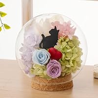 Amazon｜プリザーブドフラワー Ruplan（ルプラン）ガラスドーム 黒猫
