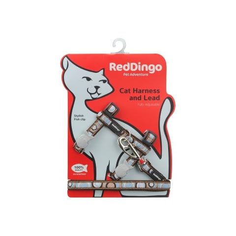 Red Dingo - Arnés para Gato y Combo de Plomo Cover