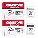 Gigastone 32GB 2-Pack Micro SD Card with Adapter, U1 C10 Class 10, Full HD available, Micro SDHC UHS-I Memory Card