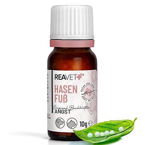 ReaVET Bachblüten Globuli für Hunde und Katzen - Hasenfuß 10g I Bachblüten für Haustiere nach Dr. Bach I Zur natürlichen Unterstützung bei ungewohnten, negativen Situationen