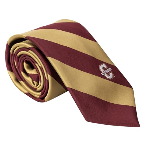 Desert Cactus College of Charleston Neck Tie CofC Cougars 100% Polyester Necktie with Logo, Officially Licensed (Style A)