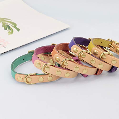 YUEHAN, Collare per Cani Personalizzato, in Pelle