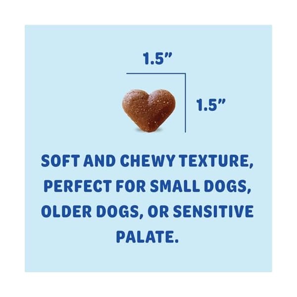 Shameless pets soft baked dog treats blueberried treasure natural healthy dog chews with mint for immune support dog biscuits baked made in usa free from grain corn soy 1 pack  urban country home decor