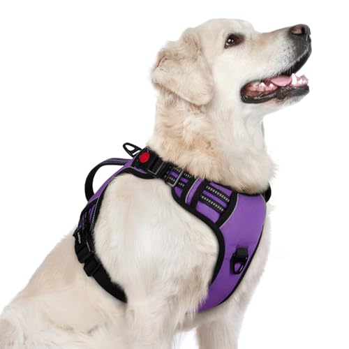 rabbitgoo Dog Harness for Large Dogs, No Pull Pet Harness with Soft Padded Handle, Adjustable Reflective Vest with 3 Buckles, Easy Walking Harness with 2 Leash Clips, Purple, L