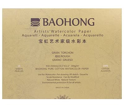 BAOHONG Artists' Watercolor Paper Block (20 Sheets, glued on Four Edges), 100% Cotton, Acid-Free, 140LB/300GSM, Watercolor Art Supplies for Wet, Dry, and Mixed Media Painting (Rough Grain 16.1"X12.2")