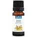 TANACETO ANNUALE (Tanacetum annuum) BIO - 10mL - Olio Essenziale di Qualità Premium - 100% Puro, Naturale, Chemiotipizzato e Integrale immagine