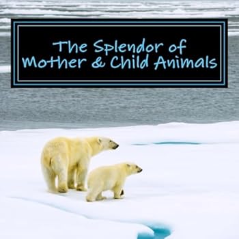 Paperback The Splendor of Mother & Child Animals: A Picture Book for Seniors, Adults with Alzheimer's and Others Book