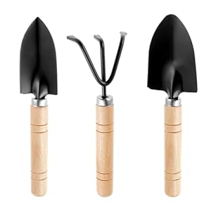 COMNICO 3 stks Tuingereedschap Set, Heavy Duty Iron Kleine Planten Troffel Rake Spade Mini Rand Hand Schop met Ergonomische Antislip Houten Grip, Geschenken voor Mannen Vrouwen