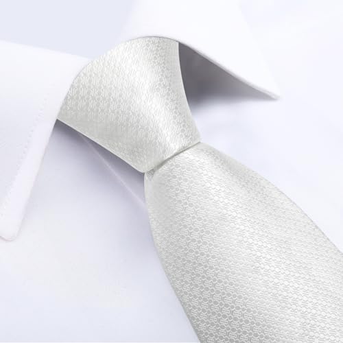 DiBanGu メンズ白格子ネクタイ4点セット