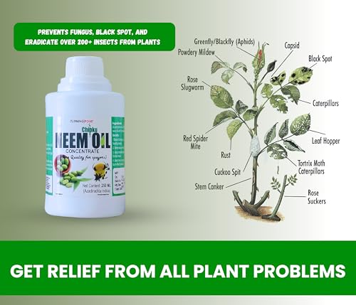 Chipku Pure Cold Pressed Water Soluble Neem Oil 250ml With Free Spray Gun Concentrate For Plants & Garden For Indoor And Outdoor Removes Aphids Fungus Thriphs Mildew For Making 50 Neem Spray Bottles (Image - 4)