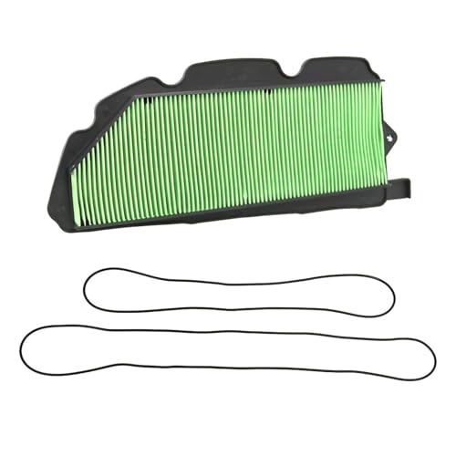 Filtro de aire compatible con Honda Pioneer 1000-5 y 1000 años 2016-2021