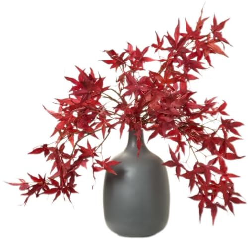 Vibrant Red Japanese Maple Leaves, Sleek Matte - Gray Vase.