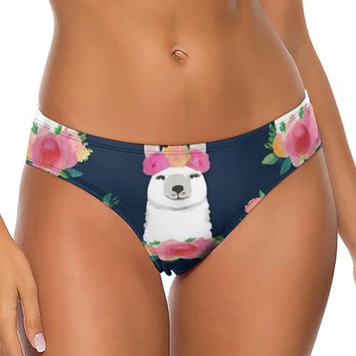 Women's Comfortable Hipster Briefs Panties Board Triangle Briefs Bikini