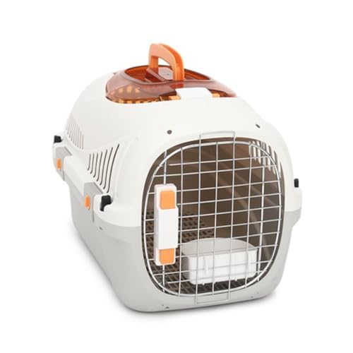 Fiozwea sp̃|[^uLƌ̃P[WAAp̔ALpobOAybgpi (B)