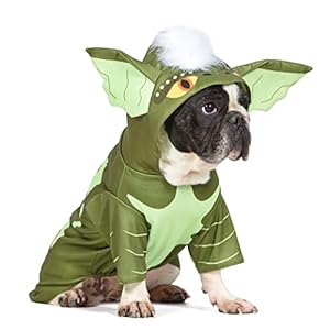 Warner Bros Horror Gremlins – Disfraz de Halloween para Perros con Capucha, Talla M, Disfraces para Perros, Lindos Disfraces de Miedo para Mascotas, Productos con Licencia Oficial, Verde (FF21797)